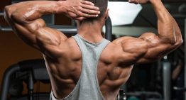 How does Testosterone Decanoate work on your muscles?