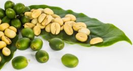 Combination of Green Coffee Bean Extract And Garcinia Cambogia