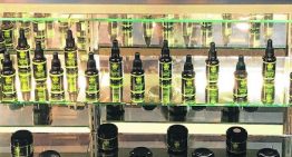 Easy Techniques You’ll Have the Ability to Transform CBD Oil Online