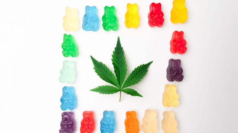 Some updates over the vegan CBD gummies