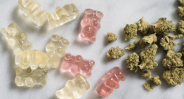 Some Surprising Benefits Of CBD Gummies