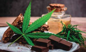 THC edibles fit in the world of cannabis consumption